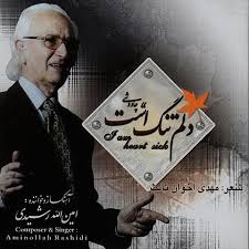 دانلود آلبوم امین الله رشیدی به نام دلم تنگ است