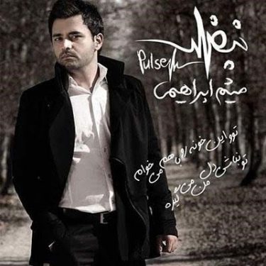 دانلود آلبوم میثم ابراهیمی به نام نبض