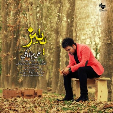 دانلود آهنگ علی عبدالمالکی به نام پاييز دانلود آهنگ علی عبدالمالکی به نام پاييز