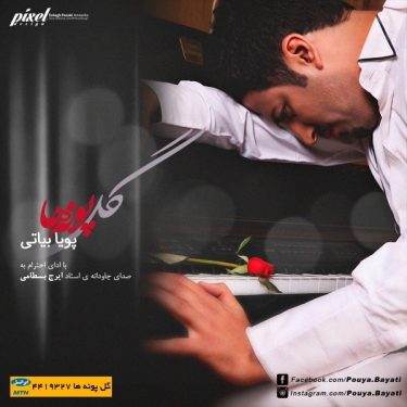 دانلود آهنگ پویا بیاتی به نام گلپونه ها