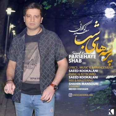 دانلود آهنگ سعید کوکلانی به نام پرسه های شب