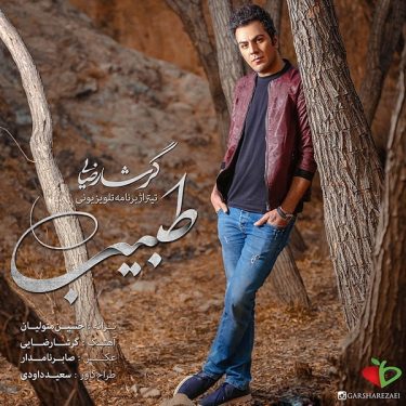 دانلود آهنگ گرشا رضایی به نام طبیب