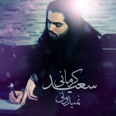 دانلود آهنگ سعید کرمانی به نام نمیدونی