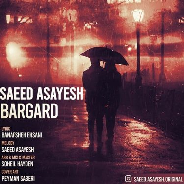 دانلود آهنگ سعید آسایش به نام برگرد