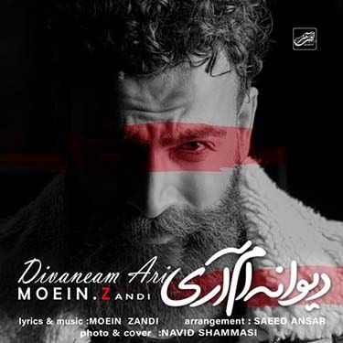 دانلود آهنگ معین زد به نام دیوانه ام آری
