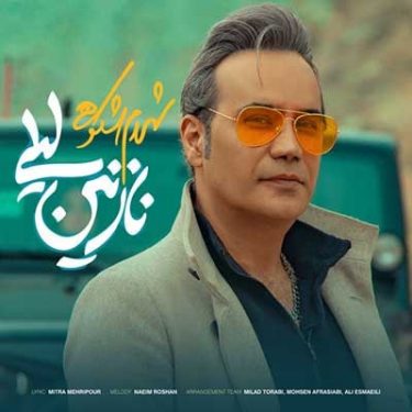 دانلود آهنگ شهرام شکوهی به نام نازنین لیلی