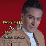 دانلود آهنگ محسن مولانا به نام جونِ دل