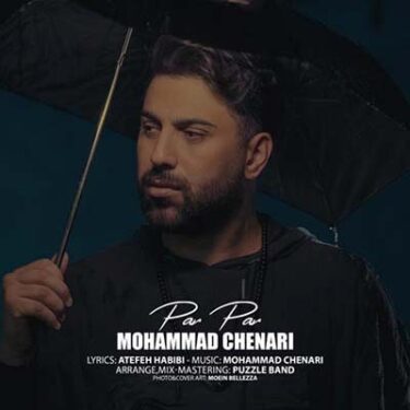 دانلود آهنگ محمد چناری به نام پر پر