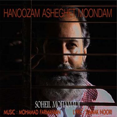 دانلود آهنگ سهیل محمدی به نام عاشقت موندم