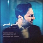 شروین کنج قفس