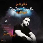 مرتضی نجفی نزار دلم تنهاشه