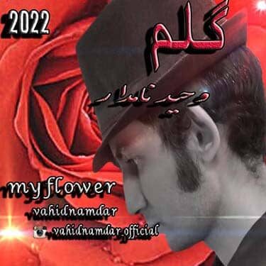 دانلود آهنگ وحید نامدار به نام گلم