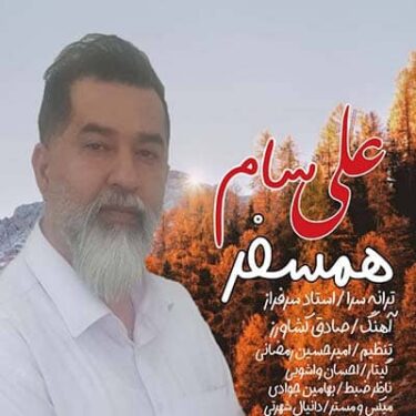 دانلود آهنگ علی سام به نام همسفر