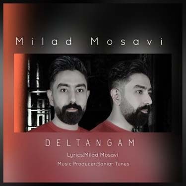 دانلود آهنگ میلاد موسوی به نام دلتنگم