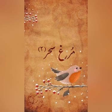 دانلود آهنگ محسن مولانا به نام مرغ سحر 2