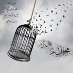 عادل شاپور محفل میم