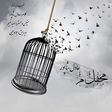 عادل شاپور محفل میم