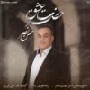 حسن نصر