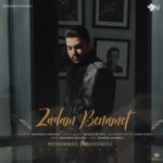 محمد زندوکیلی زدم به نامت