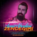 امیر عابدینی زندگیمی