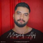 مرصاد الف پری دریایی