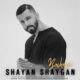 شایان شایگان