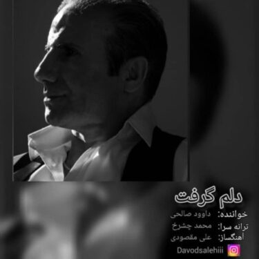 دانلود آهنگ جدید داوود صالحی دلم گرفت