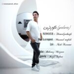 دانلود آهنگ جدید حامد پاکنفس گوزلرین