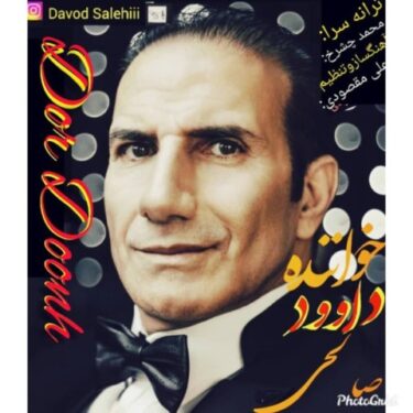 دانلود آهنگ جدید داوود صالحی دردونه