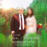 دانلود آهنگ جدید محمود تمیزی دو فرشته