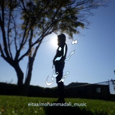 دانلود آهنگ جدید محمدعلی ترانه