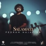 دانلود آهنگ جدید پدرام نجفیان سلامتی