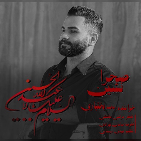 دانلود آهنگ جدید محمد بختیاری صحرا نشین