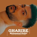 دانلود آهنگ جدید محمد ندیری غریبه