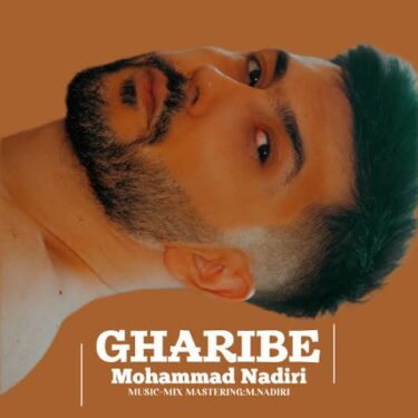 دانلود آهنگ جدید محمد ندیری غریبه