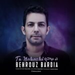 دانلود آهنگ جدید بهروز بردیا تو نباشی
