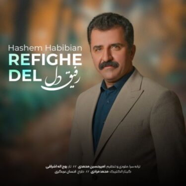 دانلود آهنگ جدید هاشم حبیبیان رفیق دل