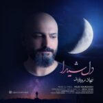 دانلود آهنگ جدید سجاد زورمند دل شیدا