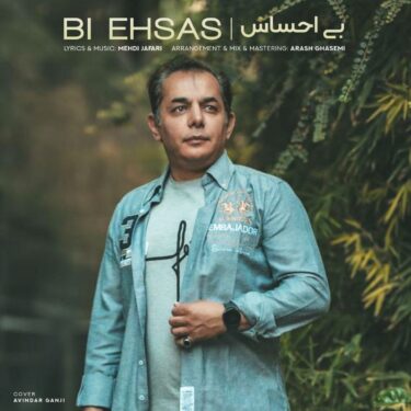 دانلود آهنگ جدید دکتر هادی بی احساس