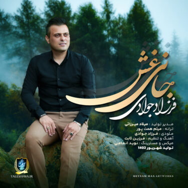 دانلود آهنگ جدید فرزاد جوادی جانی غش