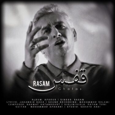 دانلود آهنگ جدید رسام قفس