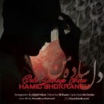 دانلود آهنگ جدید حمید شکرانه دل ساده ی من