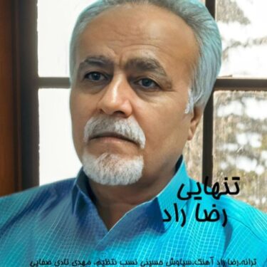 دانلود آهنگ جدید رضا راد تنهایی