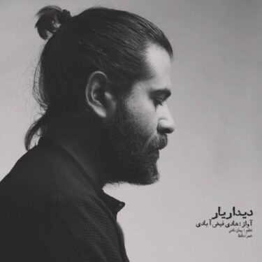 دانلود آهنگ جدید هادی فیض آبادی دیدار یار