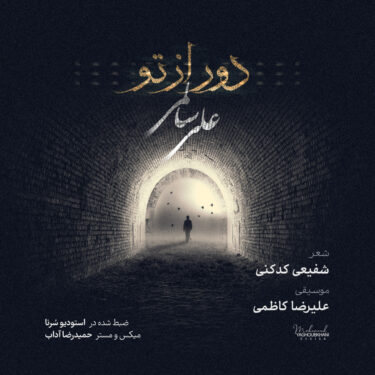 دانلود آهنگ جدید علی سالمی دور از تو