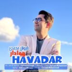 دانلود آهنگ جدید داریوش محمدی هوادار