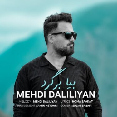 دانلود آهنگ جدید مهدی دلیلیان بیا برگرد