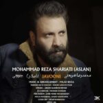 دانلود آهنگ جدید محمدرضا شریعتی جوونی