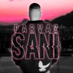 دانلود آهنگ جدید سانی پرواز