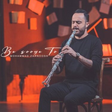 دانلود آهنگ جدید محمد زرنوش به سوی تو